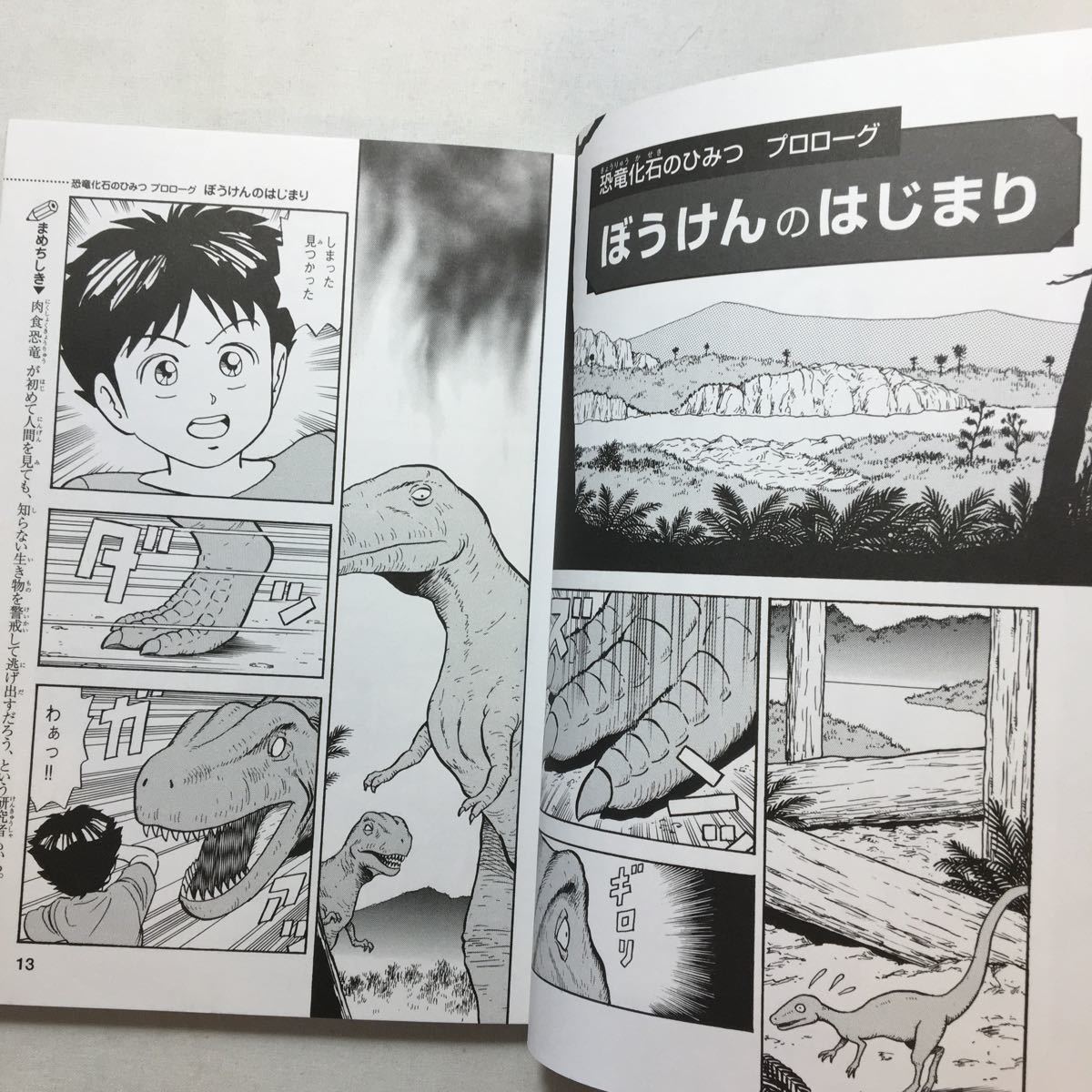 zaa-205! dinosaur fossil. secret ( Gakken ... new * secret series ) money . one (..) small marsh hing . one ( illustration ) Gakken plus separate volume 2007/7/1