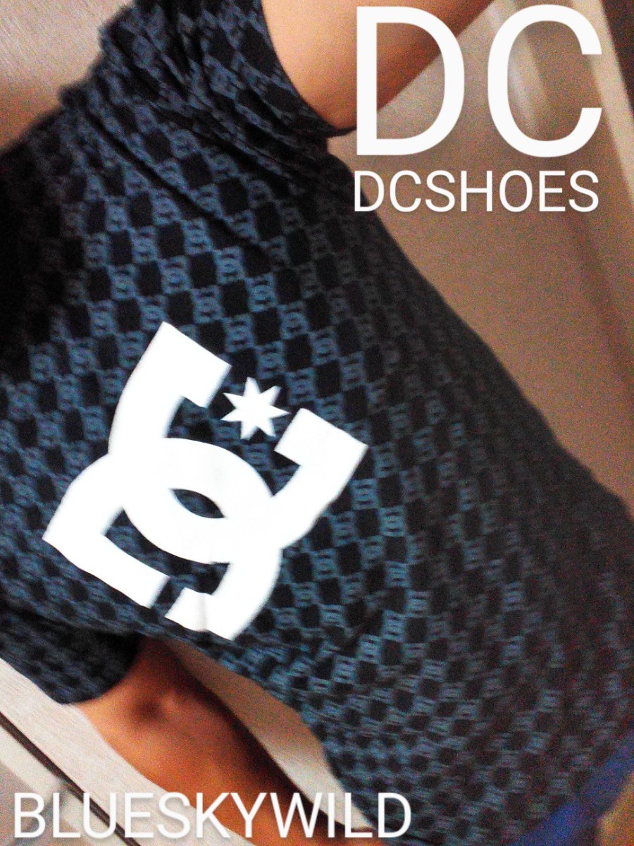 DCSHOES《希少カラー》激レア DC shoes ビッグロゴ Tシャツ ロゴマニア モノグラムスケーターブランド