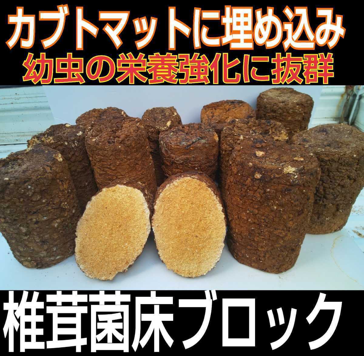 発酵マットに埋め込むと栄養強化に！カブト幼虫がサイズアップ！椎茸廃菌床☆ブロックに潜りこんでめちゃ食う！クヌギ100％原料　限定販売_画像2