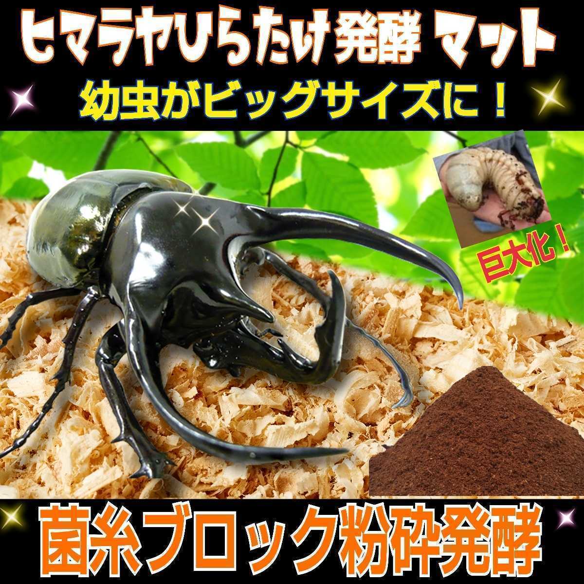 カブトムシ飼育はコレ【改良版】雑虫混入99％なし！コバエも湧かない！ひらたけ発酵マット☆幼虫の餌・産卵に抜群！栄養添加剤入5リットル_画像5