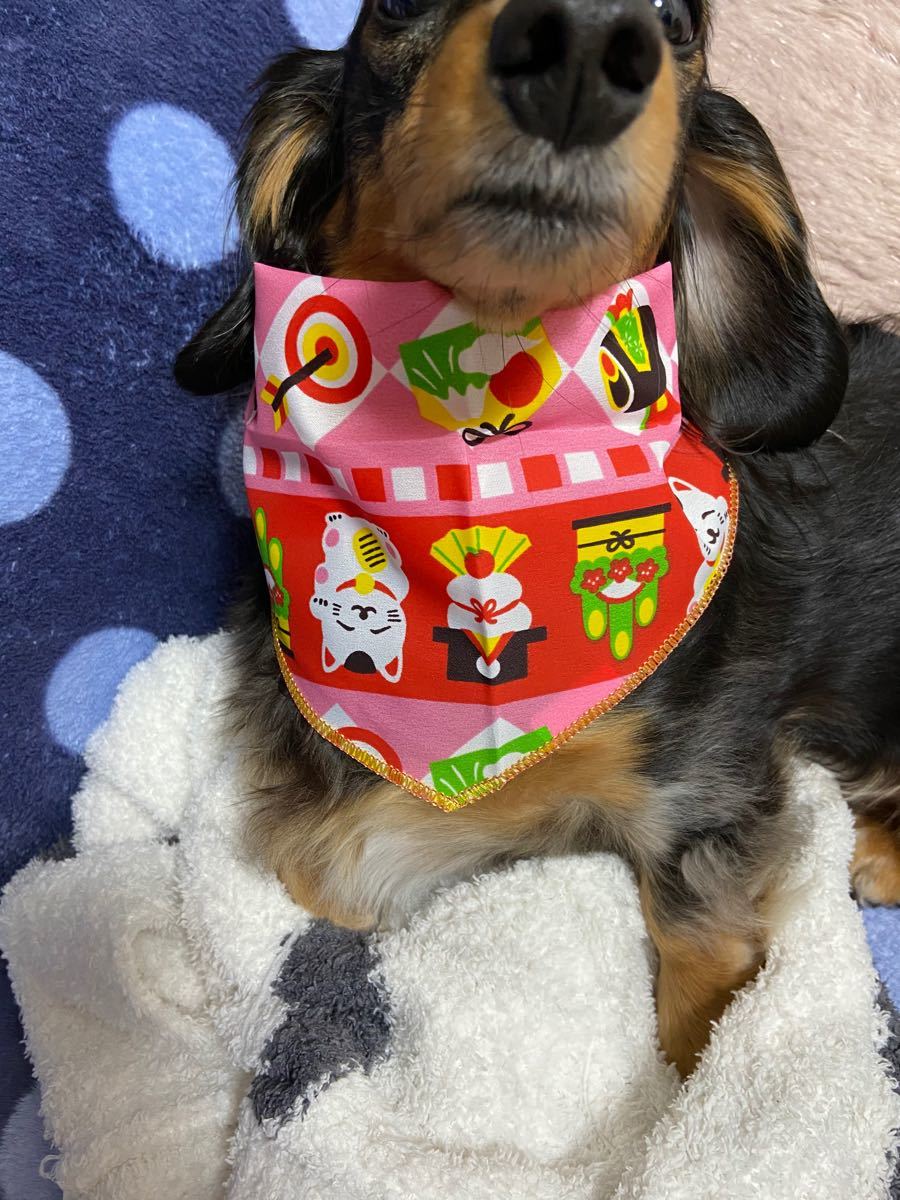 Paypayフリマ 髪飾り 犬 リボン お正月 耳用 スカーフ Paypayフリマ 髪飾り 犬 リボン お正月 耳用 スカーフ