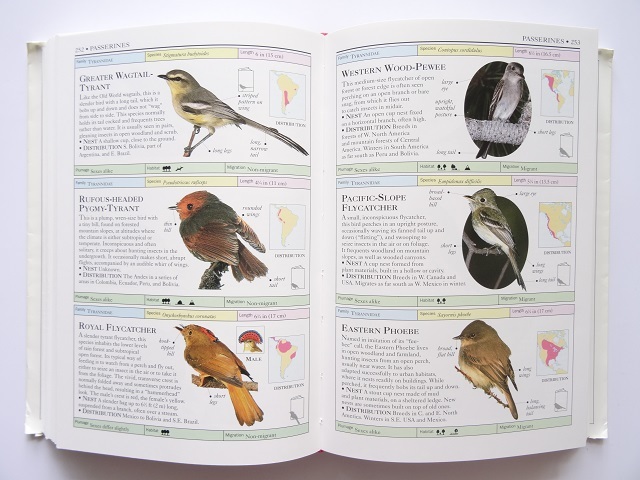  иностранная книга * мир. птица. все цвет большой иллюстрированная книга книга@ фотоальбом 