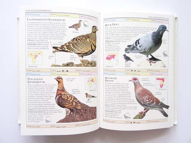  иностранная книга * мир. птица. все цвет большой иллюстрированная книга книга@ фотоальбом 