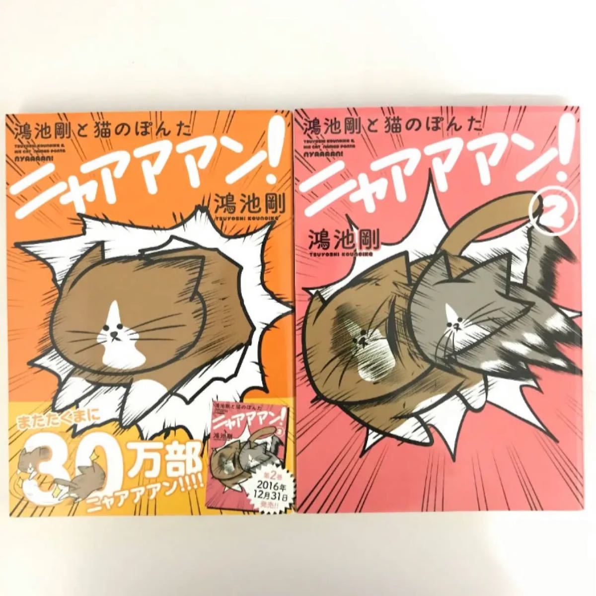 Paypayフリマ 鴻池剛と猫のぽんた ニャアアアン 1 2巻 Paypayフリマ 鴻池剛と猫のぽんた ニャアアアン 1 2巻