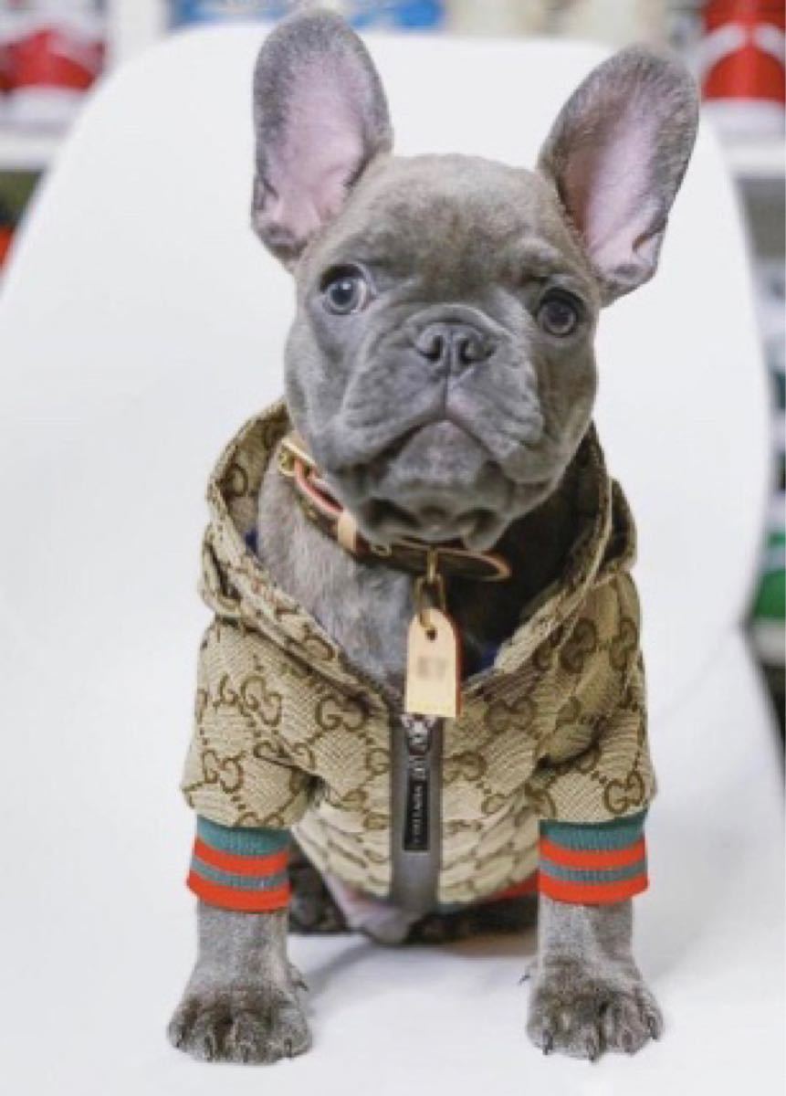 小型犬用  服  ジャケット  Mサイズ