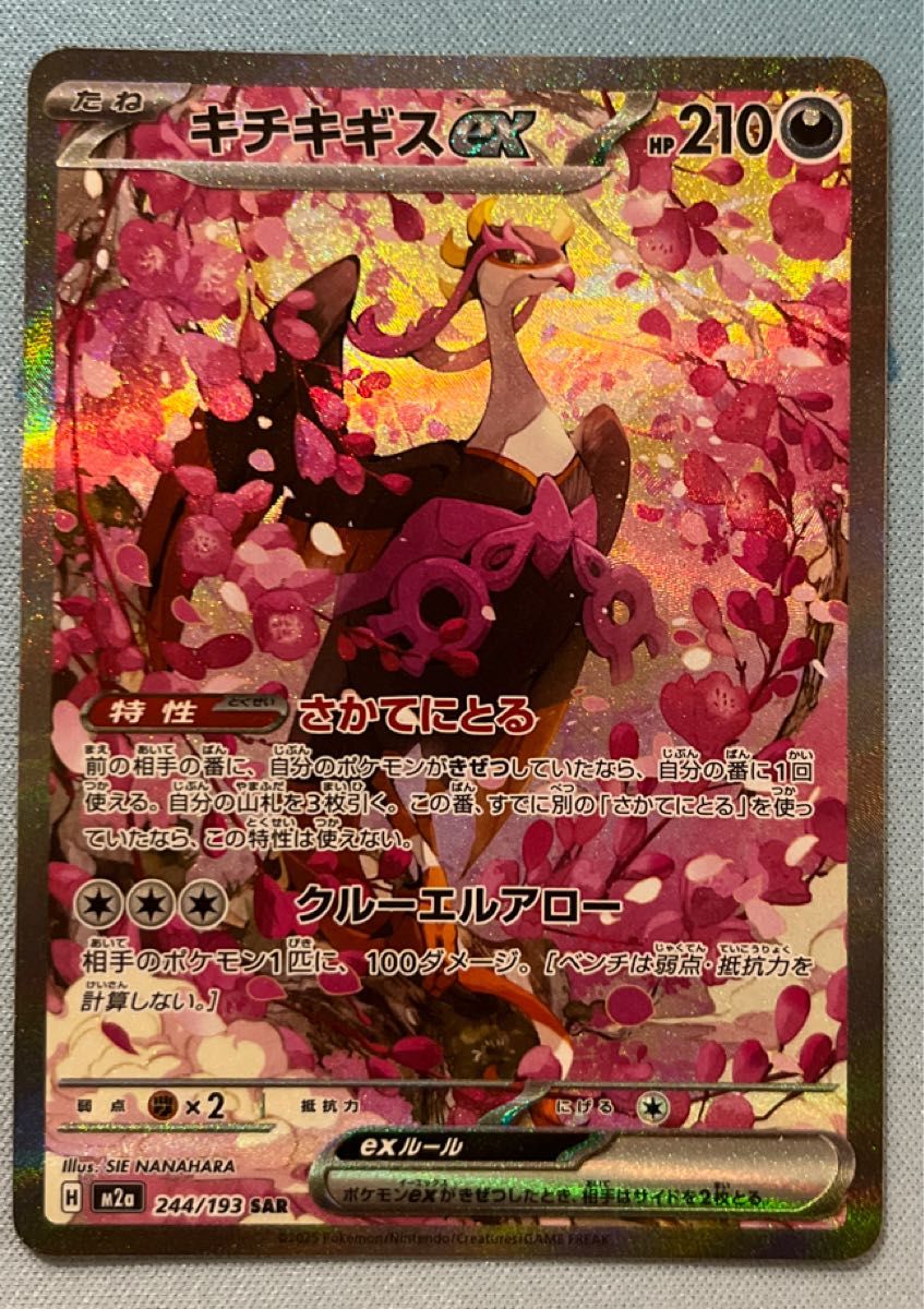 キチキギスex SAR 244/193 ポケモンカードゲーム MEGAドリームex