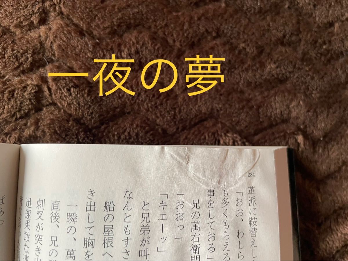 照降町四季　佐伯泰英 時代小説 文庫本