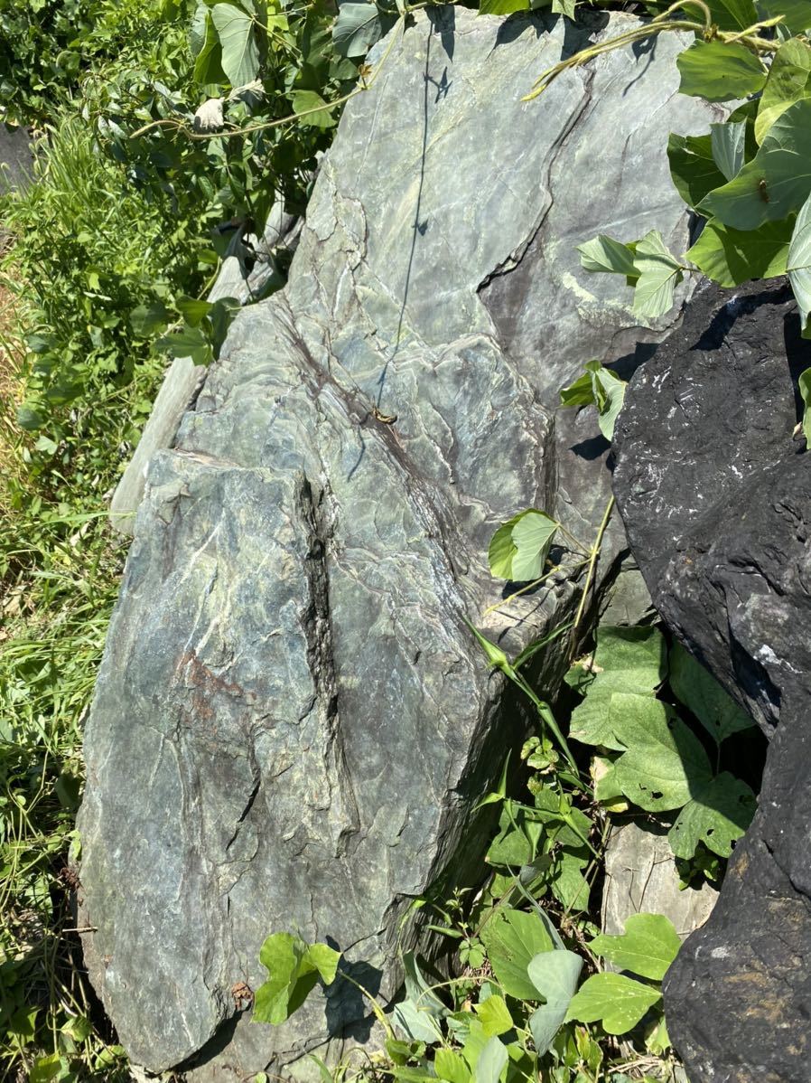 阿波の青石 庭石 日本庭園 和風 造園 植木、庭木 阿波の青石 庭石 日本庭園 和風 造園 植木、庭木