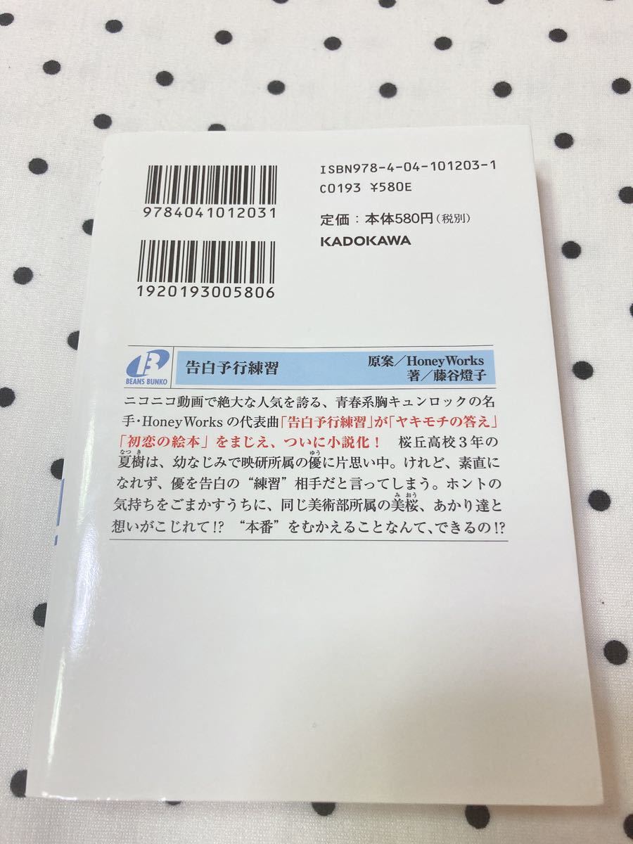 Paypayフリマ 4冊セット 告白予行練習 ヤキモチの答え 初恋の絵本 スキキライ 小説 ハニーワークス 角川ビーンズ文庫 Paypayフリマ 4冊セット 告白予行練習 ヤキモチの答え 初恋の絵本 スキキライ 小説 ハニーワークス 角川ビーンズ文庫