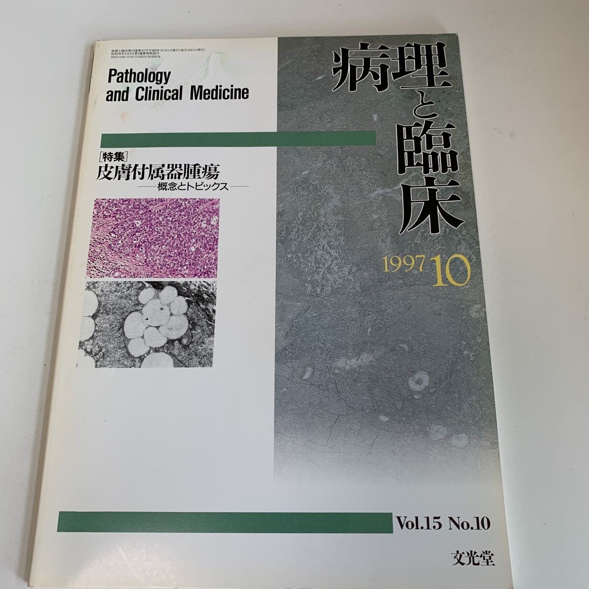 yf40 病理と臨床 1997年 皮膚付属器腫瘍 真鍋俊明 神崎保 渡辺晋一 文光堂 病理学 疾患 付録無し 医療 医学 専門書 病気 医者 医大_画像1