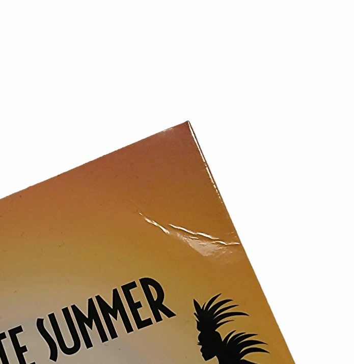 MURO / Diggin' Late Summer ~Tropicooool Yahoo!オークション - 即決 限定品 DJ MURO / DIGGIN' LATE