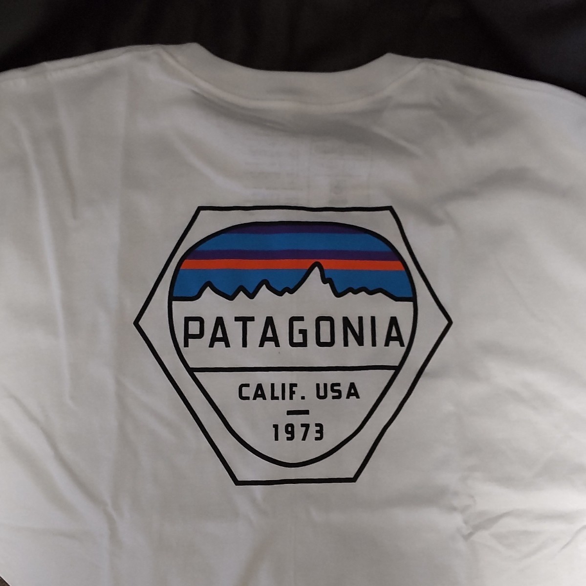 コ【半袖 L】patagonia パタゴニア Tシャツ パタゴニア