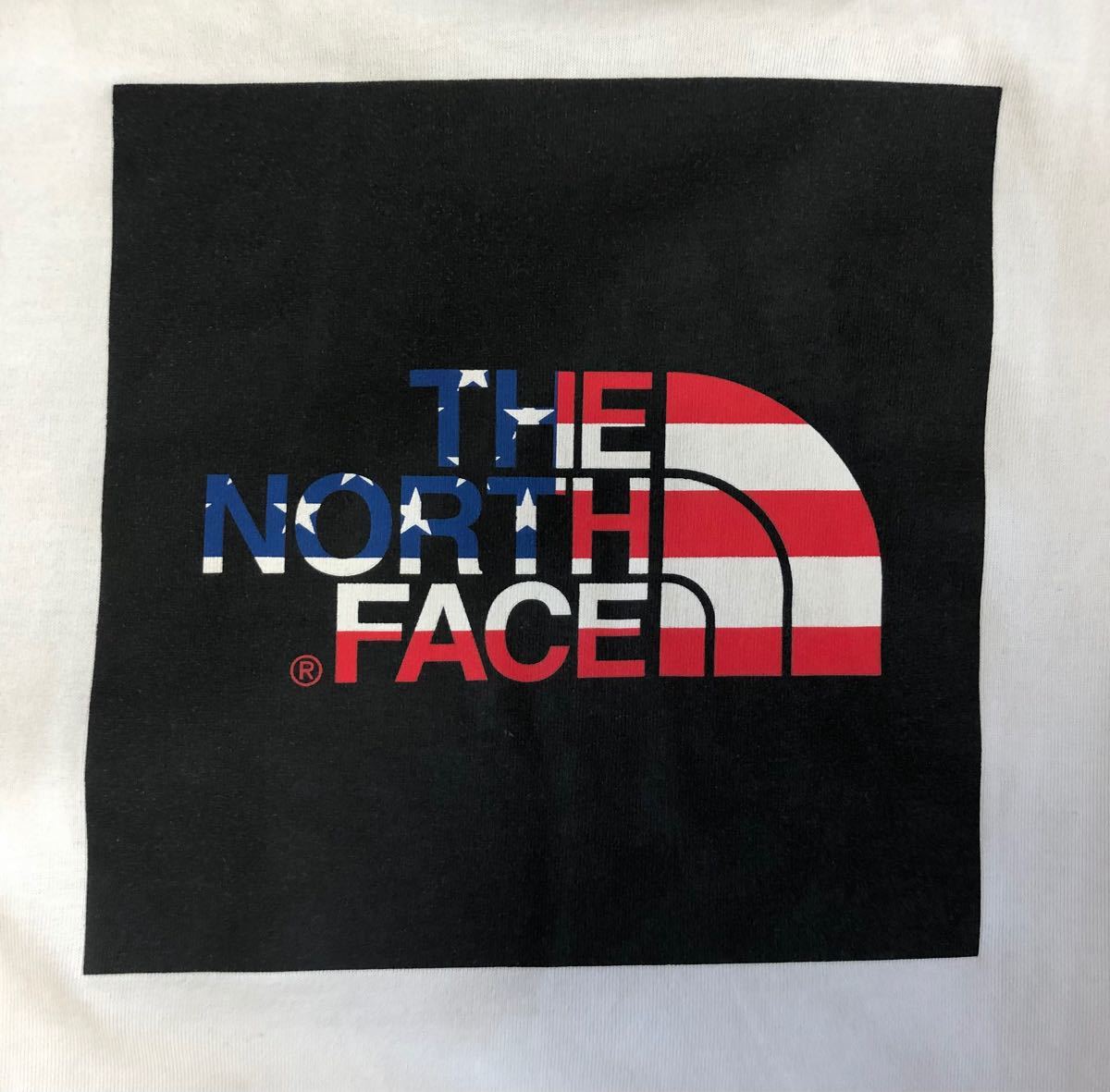 THE NORTH FACE/ザノースフェイス　Lサイズ
