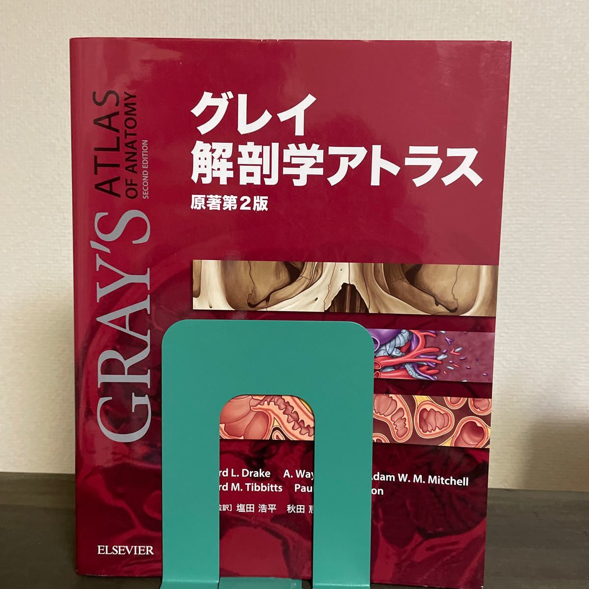 値下げ】 グレイ解剖学 新品未使用 writemytenders.com