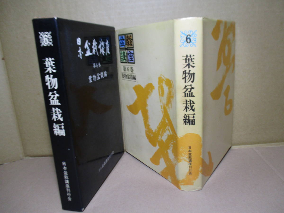 ☆『日本盆栽講座 第6巻葉盆栽編』高橋貞助-茅誠司監修;農業図書;昭和50年;初版函付;本カバー付*随所に写真・イラストで解りやすく解説