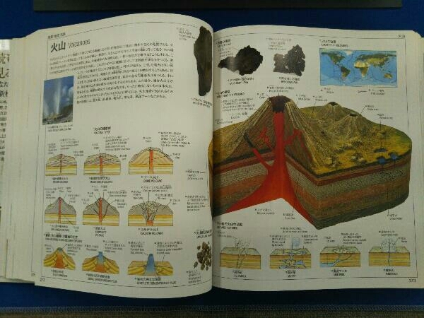 ビジュアルディクショナリー DK&日東書院本社編集部_画像6