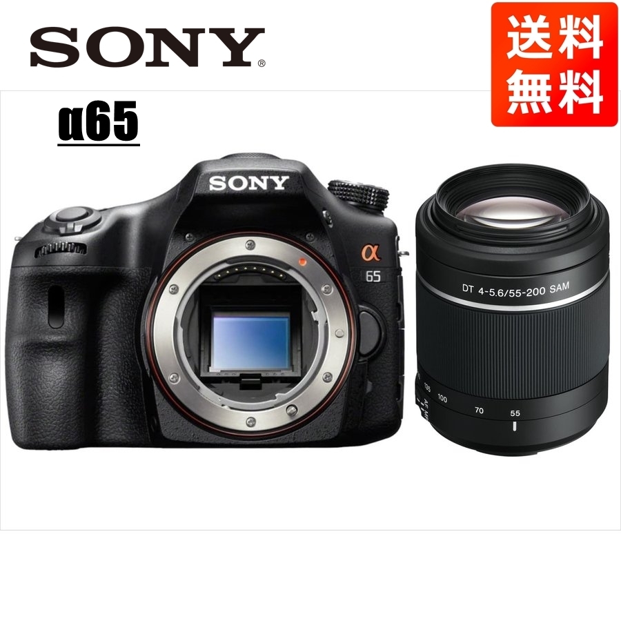 ソニー SONY α65 DT 55-200mm 望遠 レンズセット デジタル一眼レフ カメラ-