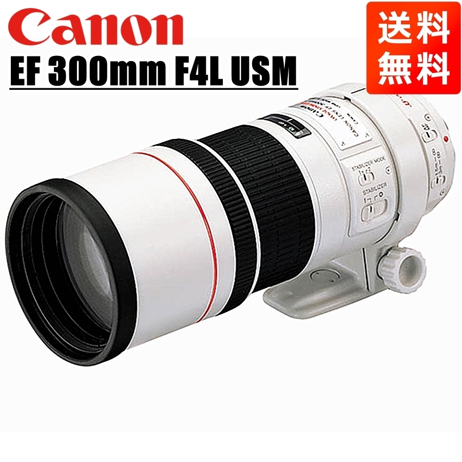 キヤノン Canon EF 300mm F4L USM 望遠単焦点レンズ 