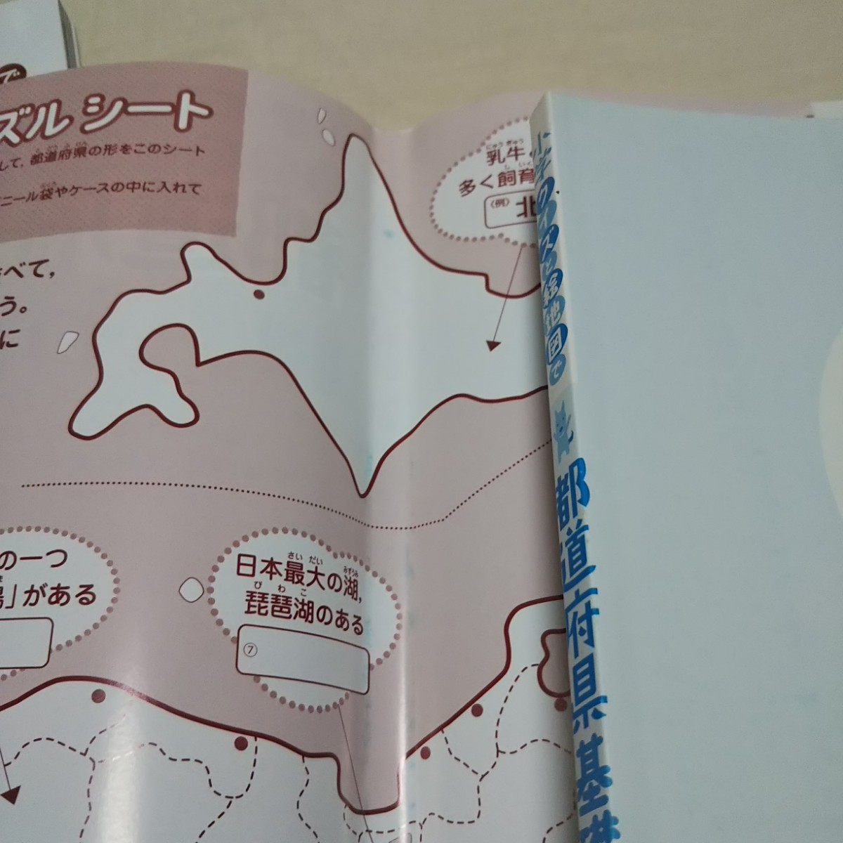 小学 クイズと絵地図で 基礎丸わかり 世界の国々 初めて学ぶ世界地理