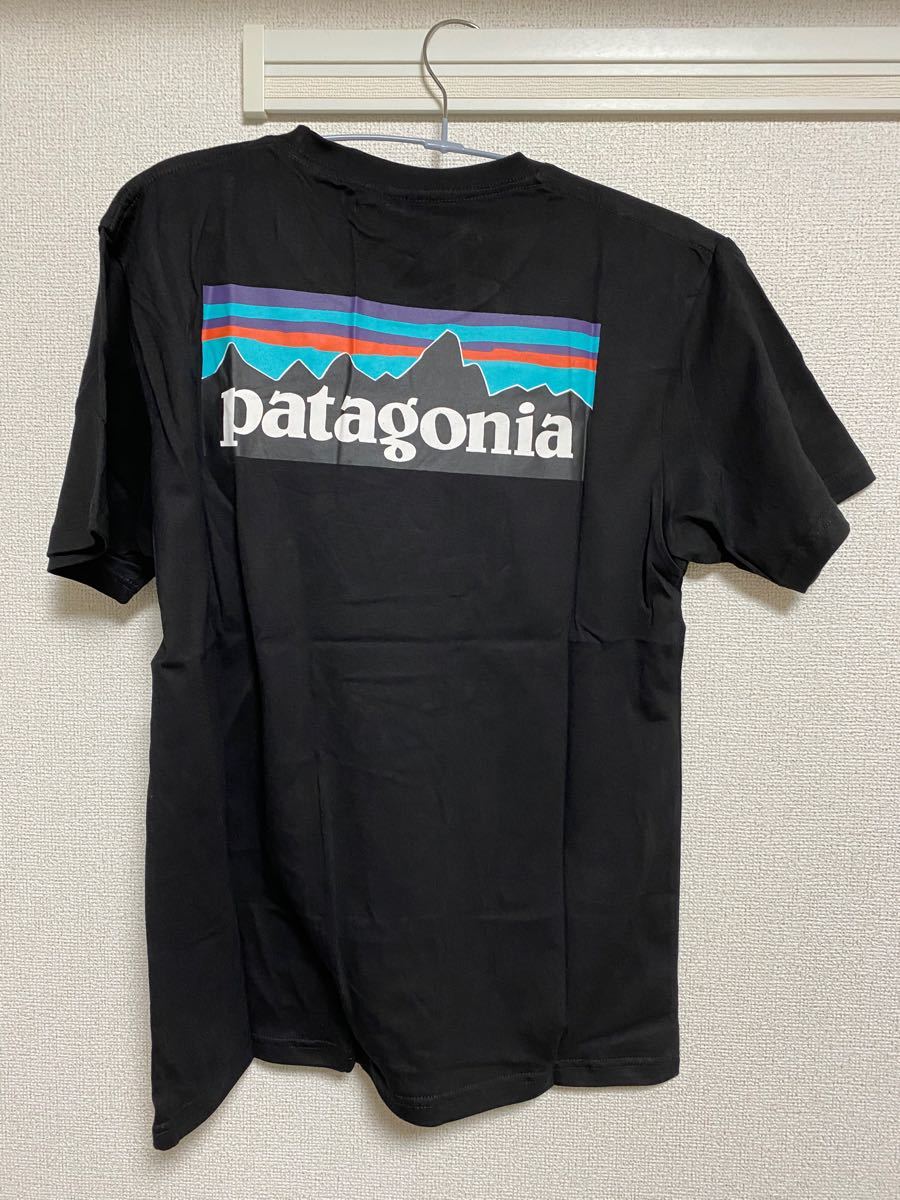 patagonia パタゴニア パタゴニアTシャツ