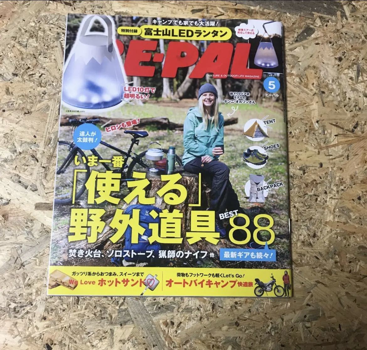 BE-PAL 2019/5 付録なし