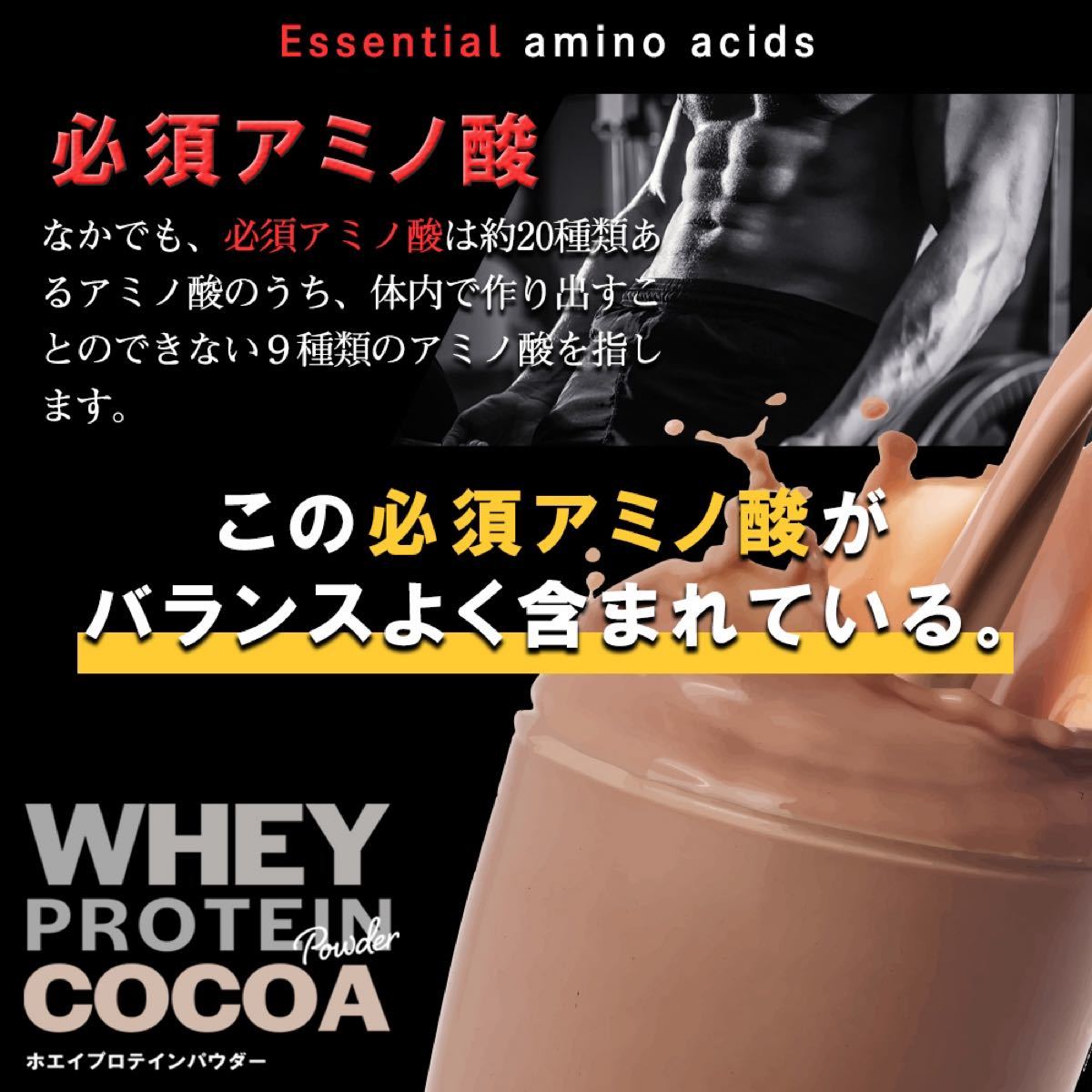 【送料無料】ホエイプロテイン ココア味 1kg(500g×2袋セット)