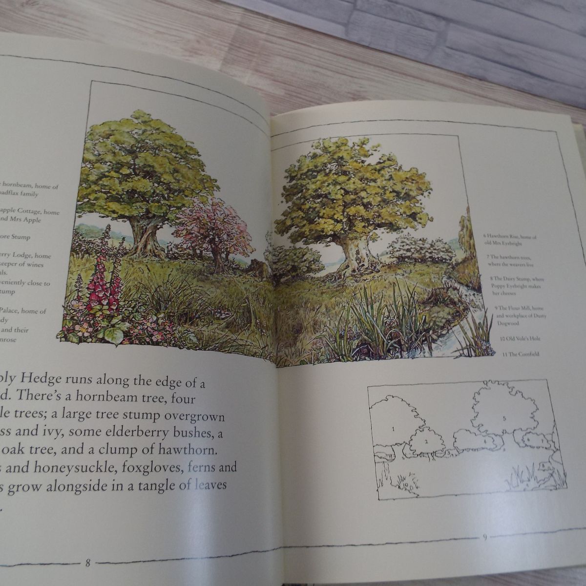  foreign language picture book [. ... .. thing ...THE BRAMBLY HEDGE TREASURY : secret. ....| Will Fred. mountaineering ] foreign book English picture book 