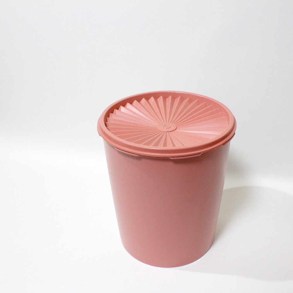 人気大割引 タッパーウエア Tupperware 小物入れ 容器 iauoe.edu.ng