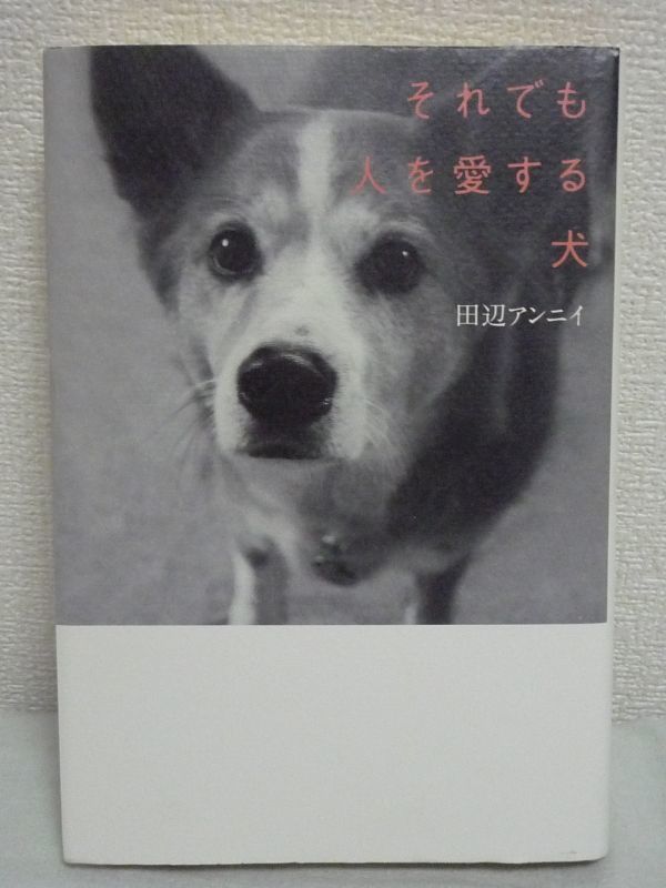 それでも人を愛する犬 ★ 田辺アンニイ ◆ 犬猫の保護活動 不遇な犬猫に温かい家族を探す活動は土手で出会った1頭の子犬から始まった ◎_画像1