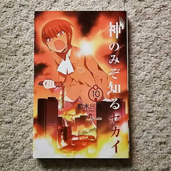 ブラウン×ピンク 神のみぞ知るセカイ ポスター20種(B3B2サイズ | www