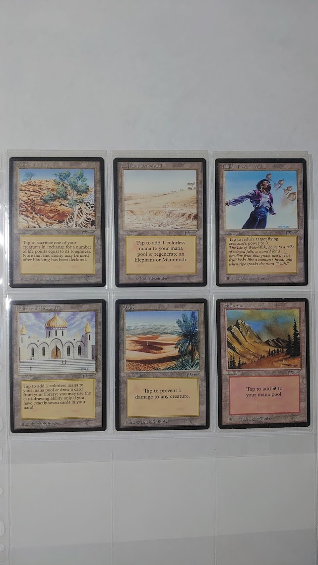 MTG　アラビアンナイト　コンプリートセット　Arabian Nights　Complete Set　ARN　全78枚_画像10