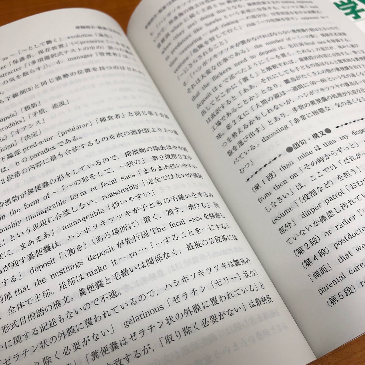 赤本 早稲田大学 教育学部 〈文科系〉 教育 国語国文 英語英文 赤本 早稲田大学 教育学部 〈文科系〉 教育 国語国文 英語英文