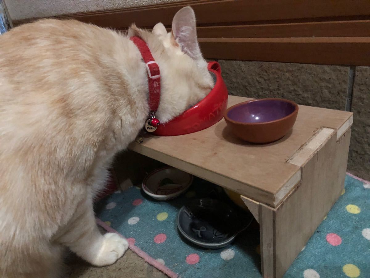 Paypayフリマ フードスタンド 木製 犬 猫 兎 フェレット 餌置き 器 食器台 Paypayフリマ フードスタンド 木製 犬 猫 兎 フェレット 餌置き 器 食器台