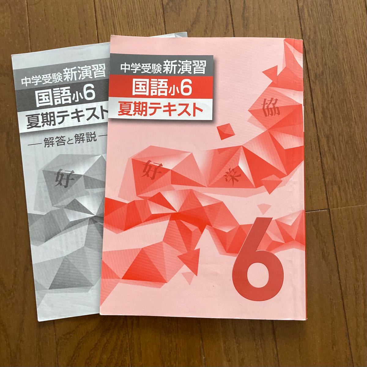 中学受験 新演習 国語　小6 夏期テキスト　