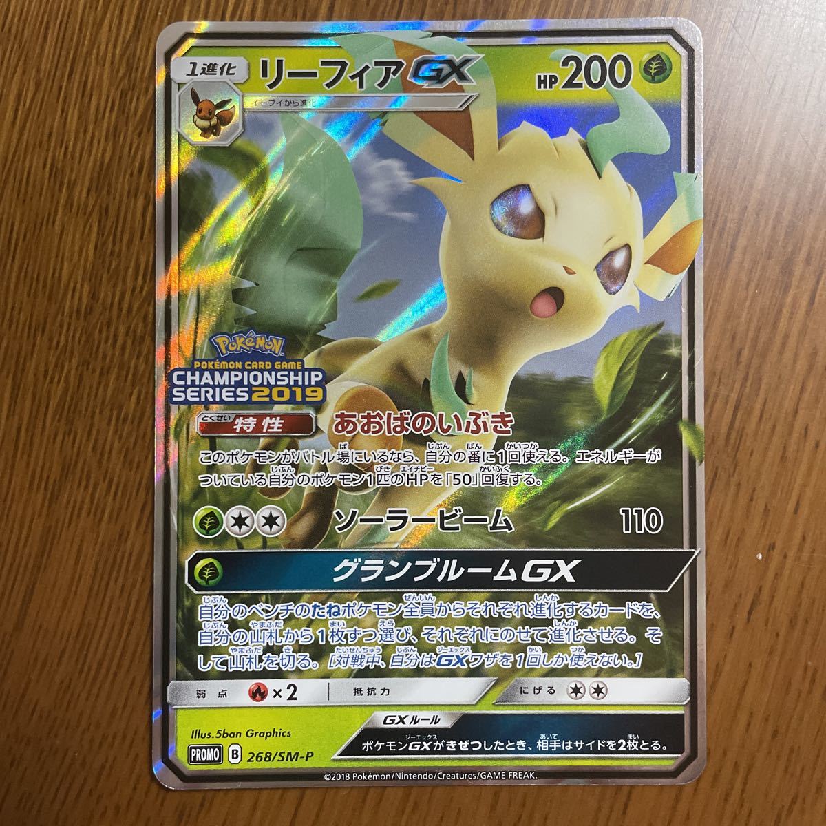 ポケモンカード リーフィアGX プロモ | charcas.gob.mx