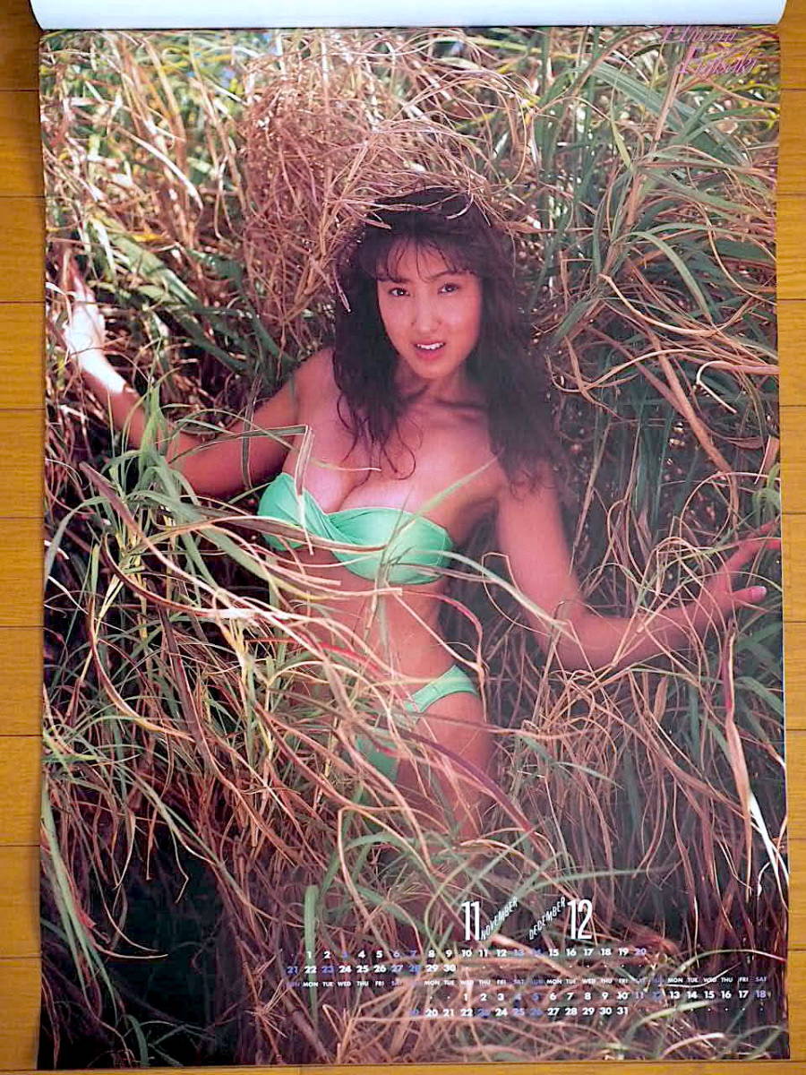 1993年 藤崎仁美 カレンダー 未使用保管品_画像7
