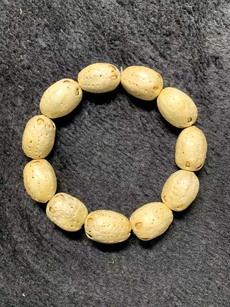 ルドラクシャ(菩提樹の実) 五眼龍菩提14472073/19 5g|Yahoo ルドラクシャ(菩提樹の実) 五眼龍菩提14472073/19 5g|Yahoo