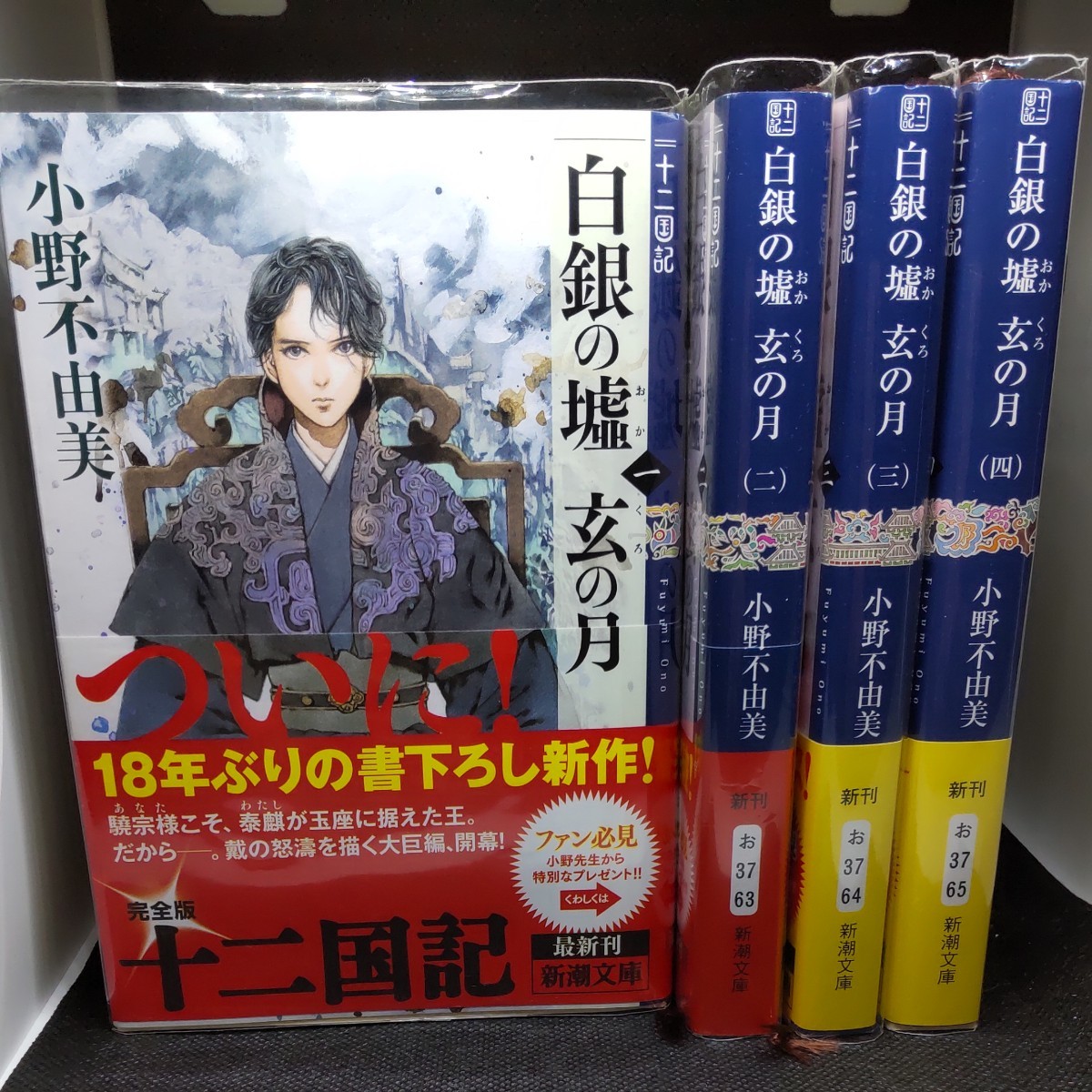 【全巻セット】十二国記　白銀の墟　玄の月　小野不由美