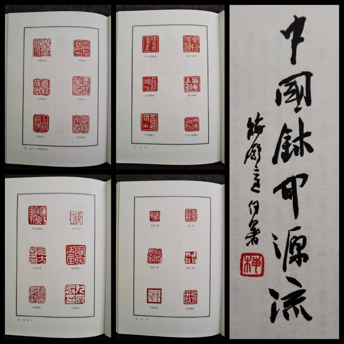 中国爾印源流 検索:印譜 法書道 印存 封泥 篆刻 金石鼓文 篆字 落款 雅号印 花押 支那 呉昌碩 朱印 斉白石 張大千 黄易 雅印 趙之謙 鄧石如_画像1