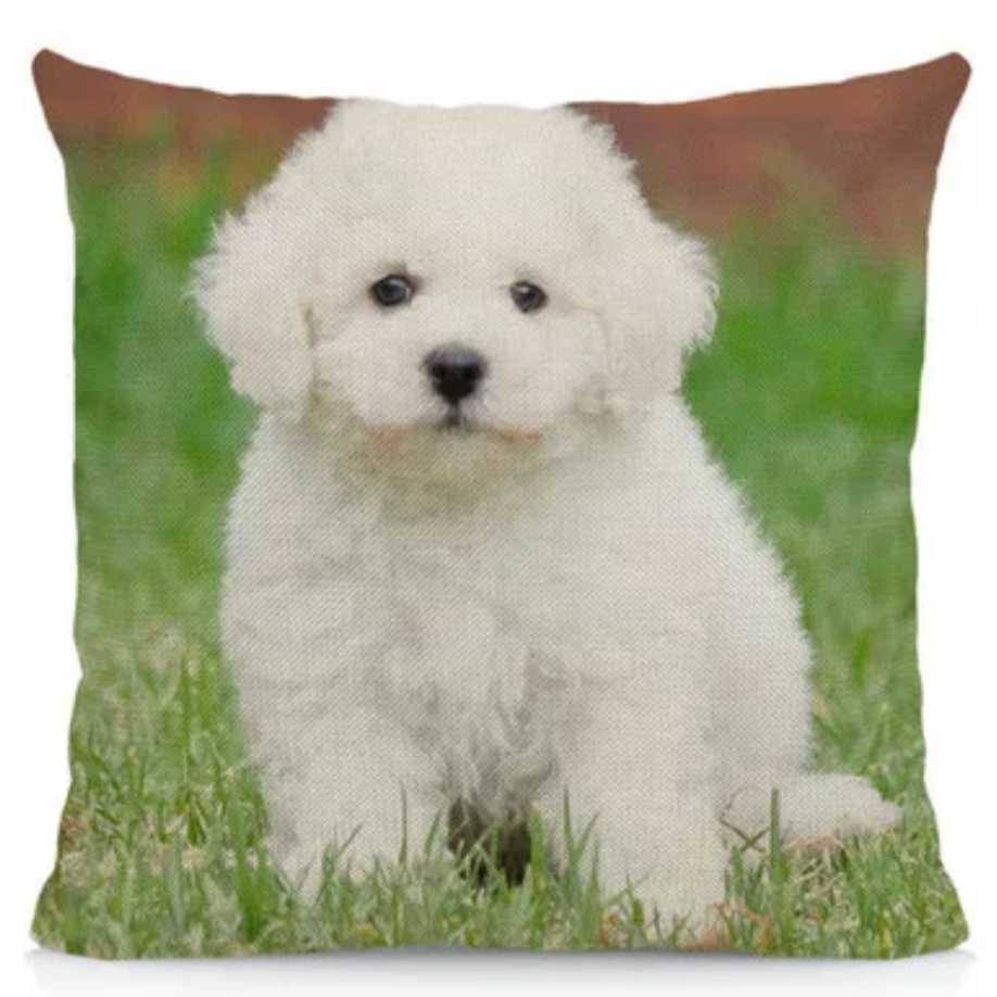 新品未使用 送料無料 インテリア クッションカバー グッズ パピー ビションフリーゼ プレゼント 子犬 小型犬 犬 贈り物 雑貨 Sale 56 Off ビションフリーゼ 新品未使用 送料無料 インテリア クッションカバー グッズ パピー ビションフリーゼ プレゼント 子犬 小型犬 犬 贈り物 雑貨 Sale 56 Off ビションフリーゼ