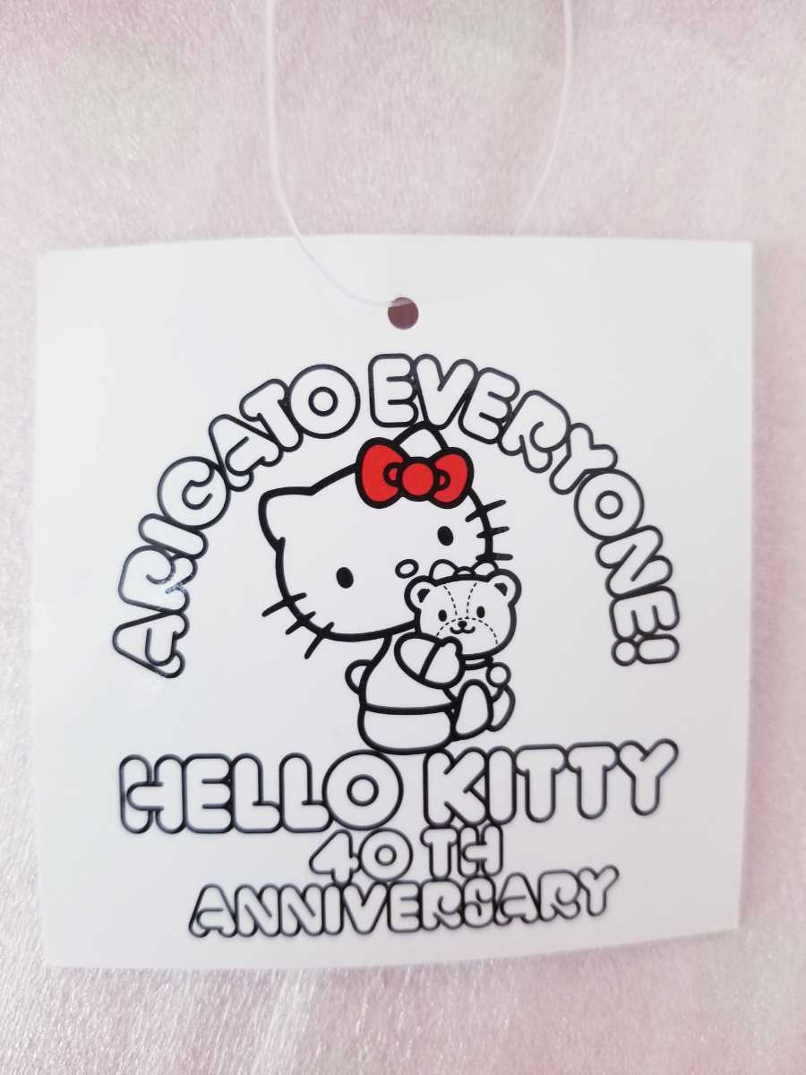  Kitty * pouch * check * new goods tag attaching *40th* Sanrio 