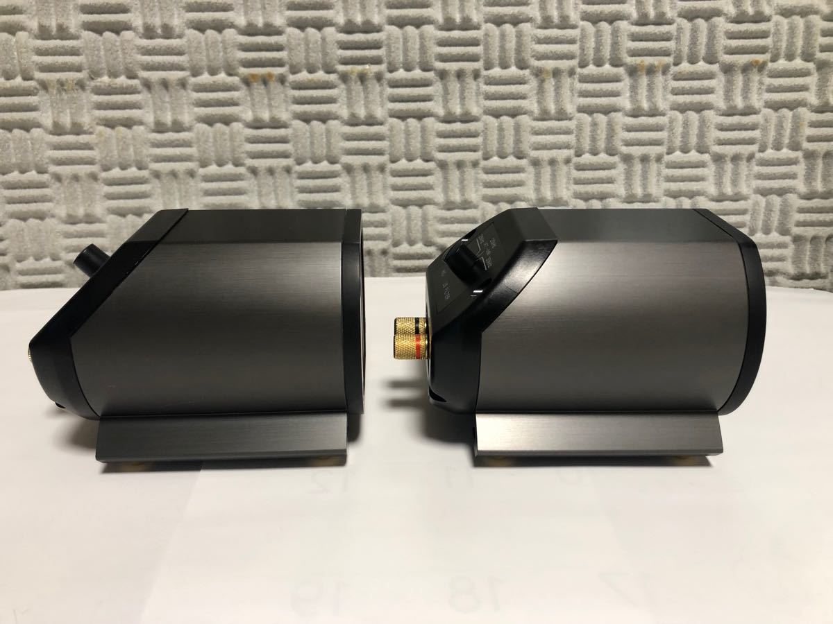 値下げ Pioneer パイオニア リボンSツィーターPT-R4 ドイツ 値下げ Pioneer パイオニア リボンSツィーターPT-R4 ドイツ