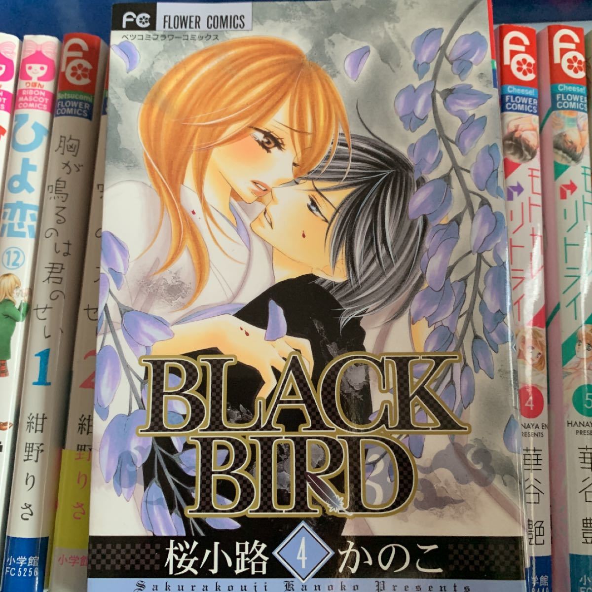 「BLACK BIRD 4」
