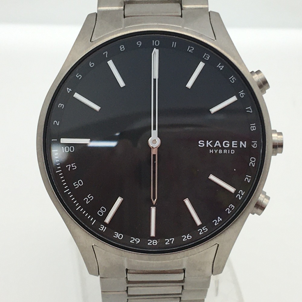 SKAGEN メンズ腕時計 クォーツ 【73%OFF!】 SKT1305 目立った傷や汚れなし スカーゲン 印象のデザイン