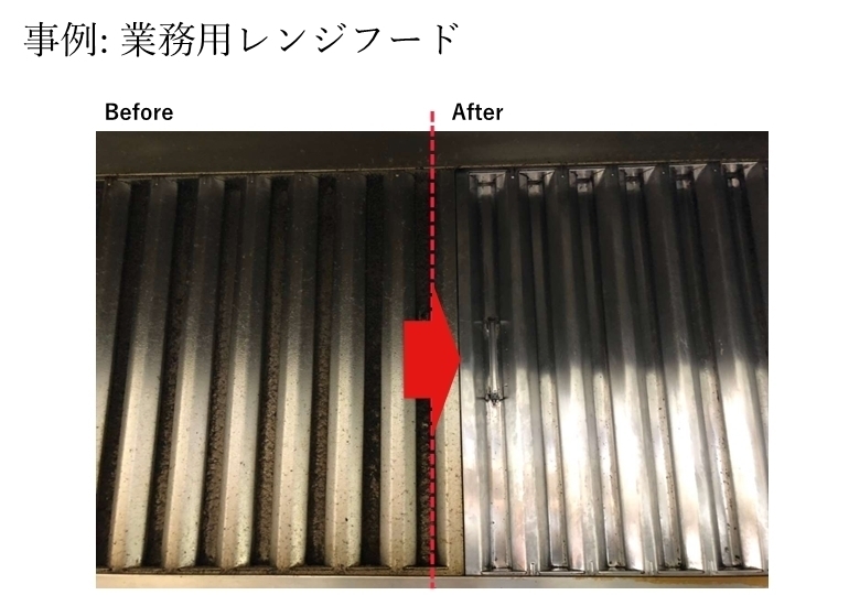 超洗浄戦士 アルカリ電解水洗浄液 pH13.2 2L　バンガードエンタープライズ　 除菌 洗浄 清掃 洗剤 日本製_画像10