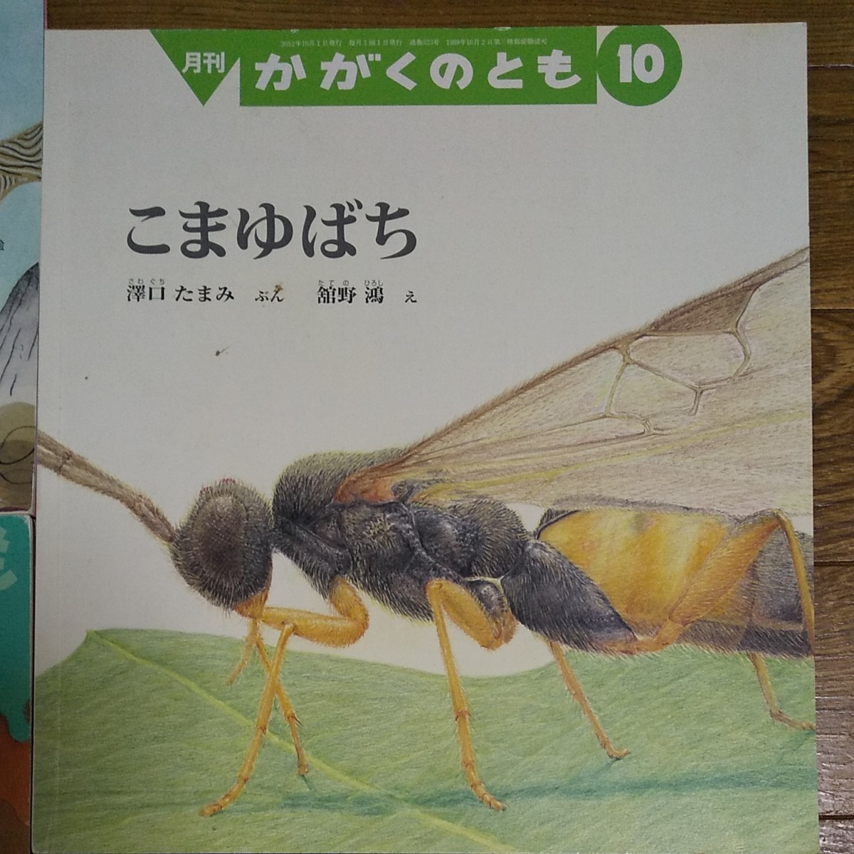  福音館 至光社 幼児向き 絵本セット