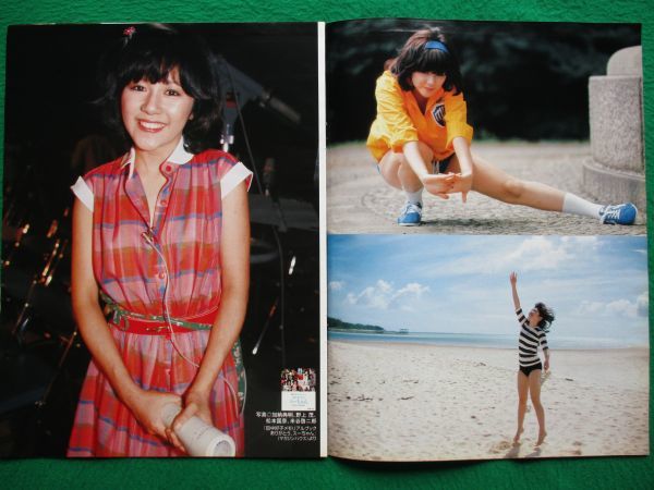 ★限定品★キャンディーズ 写真パネル★スー 田中好子★ファイナルカーニバル★ 田中好子(たなかよしこ)ディスコグラフィ | Idol.ne.jp