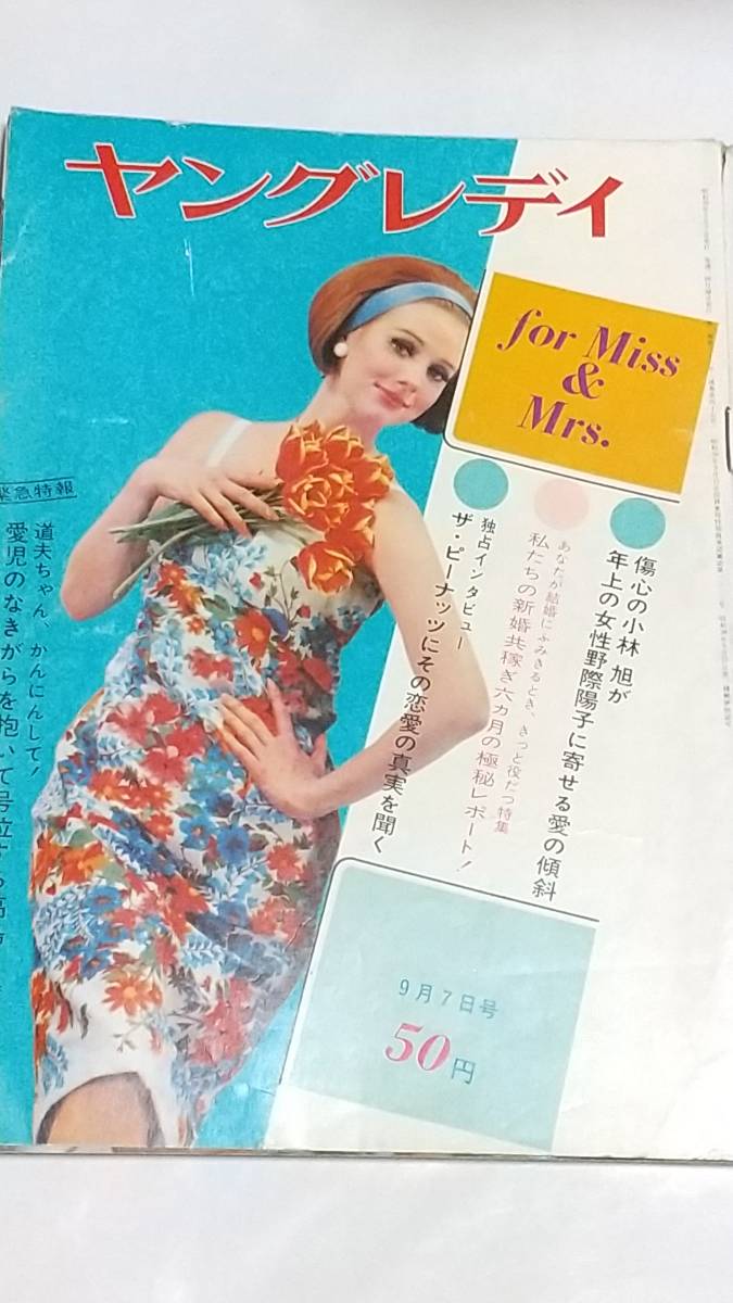 日本yahoo代標 日本代購 日本批發 Ibuy99 昭和39年9月7日号ヤングレディ朝丘雪路淡島千景司葉子新珠三千代岡田茉莉子寿美花代 日本yahoo代標 日本代購 日本批發 Ibuy99 昭和39年9月7日号ヤングレディ朝丘雪路淡島千景司葉子新珠三千代岡田茉莉子寿美花代
