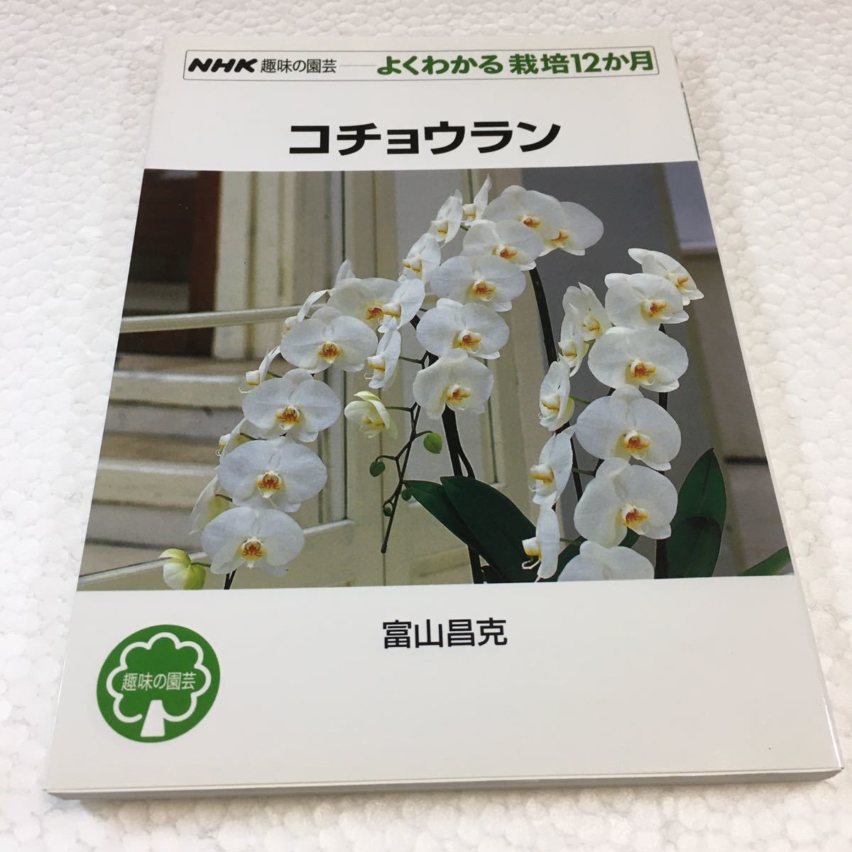 即決　未読未使用品　全国送料無料♪　コチョウラン (NHK趣味の園芸 よくわかる栽培12か月)　JAN- 9784140402023_画像1