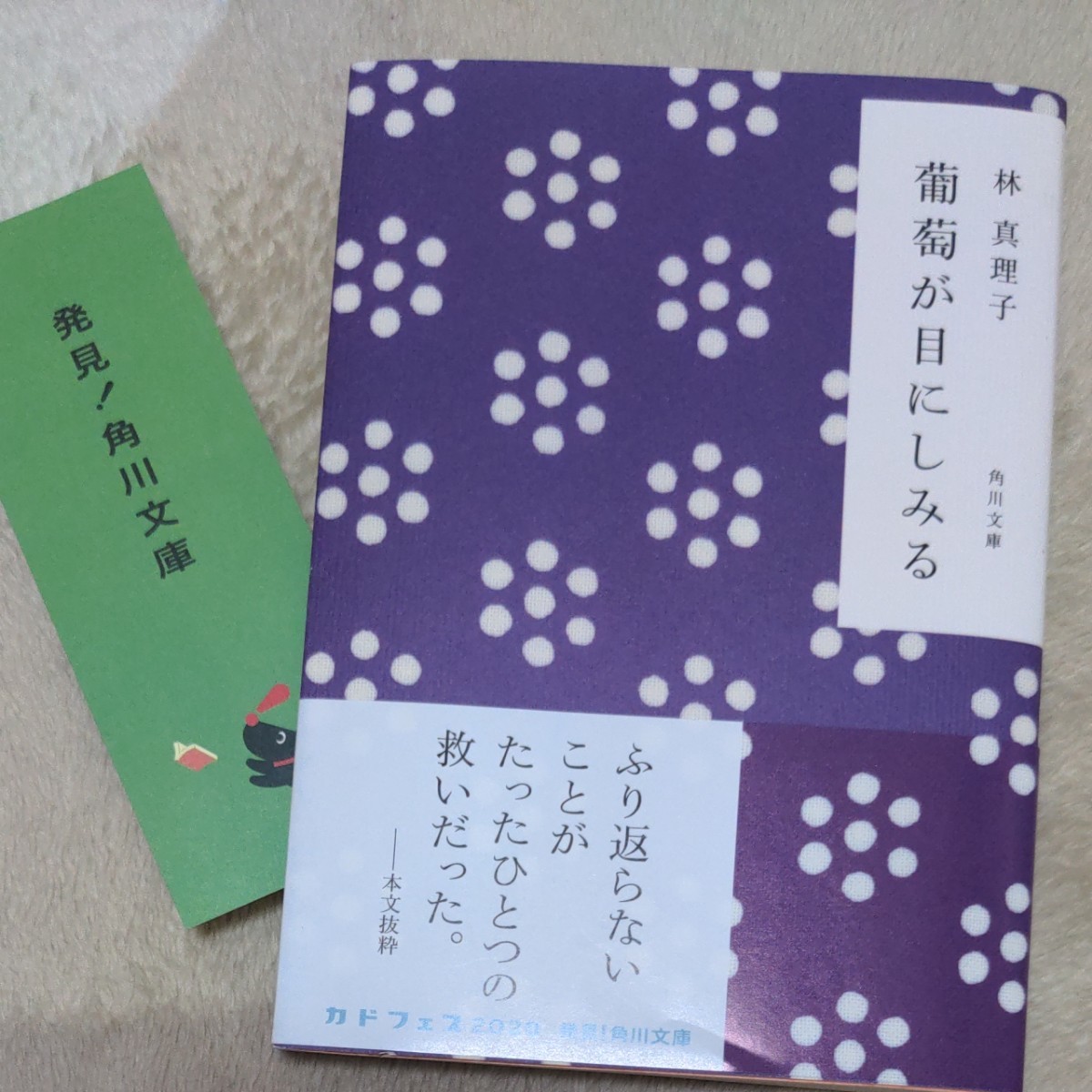 葡萄が目にしみる/林真理子カドフェス2020 角川文庫